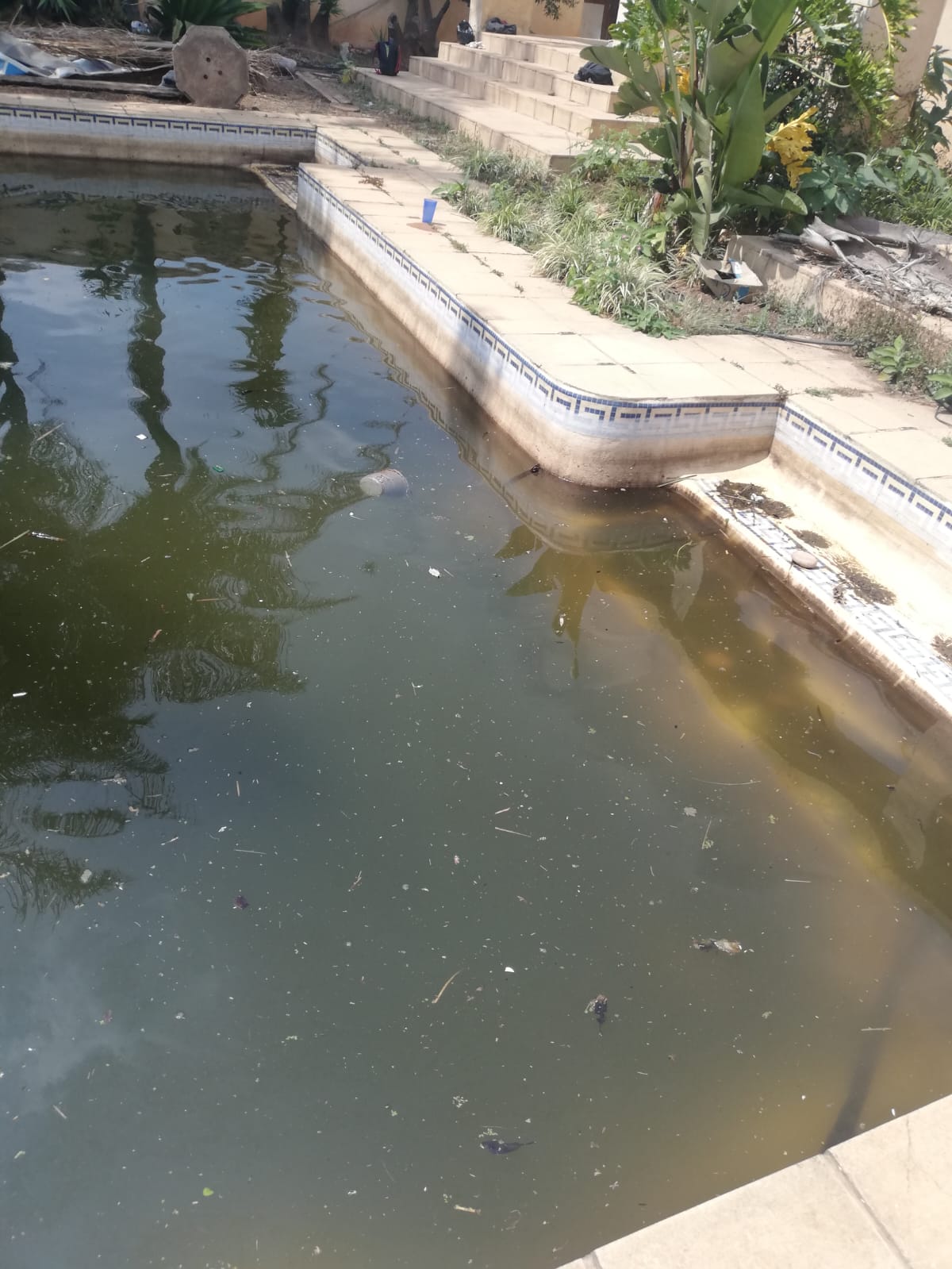 Before – neglected pool needing restoration