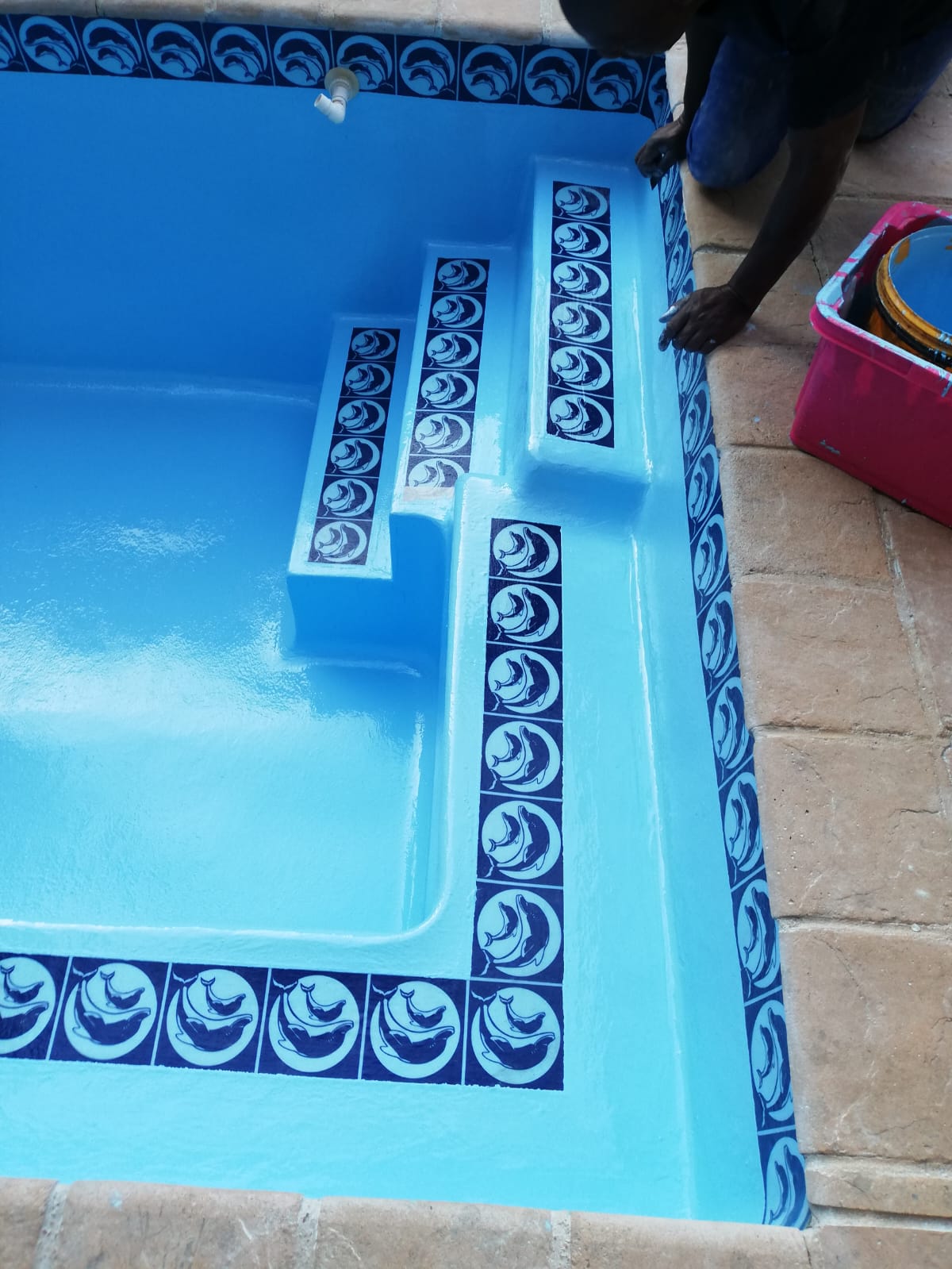 Pool resurfacing with dolphin tile detailing